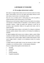 Referāts 'Enerģētikas dzērieni, to ietekme uz veselību', 13.