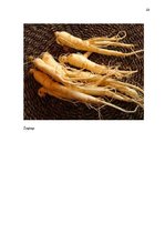 Referāts 'Enerģētikas dzērieni, to ietekme uz veselību', 23.