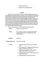 Prakses atskaite 'Integrētā prakse pirmsskolā', 2.