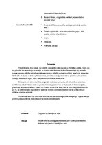 Prakses atskaite 'Integrētā prakse pirmsskolā', 3.