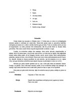 Prakses atskaite 'Integrētā prakse pirmsskolā', 7.