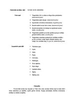 Prakses atskaite 'Integrētā prakse pirmsskolā', 8.