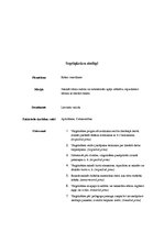 Prakses atskaite 'Integrētā prakse pirmsskolā', 10.