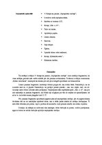 Prakses atskaite 'Integrētā prakse pirmsskolā', 11.