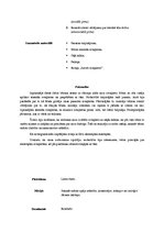 Prakses atskaite 'Integrētā prakse pirmsskolā', 17.