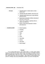 Prakses atskaite 'Integrētā prakse pirmsskolā', 18.