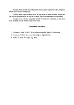 Prakses atskaite 'Integrētā prakse pirmsskolā', 19.