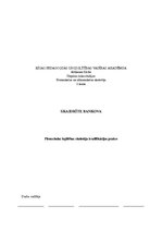 Prakses atskaite 'Integrētā prakse pirmsskolā', 20.