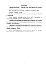 Referāts 'Horizontālā integrācija', 9.