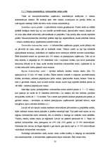 Referāts 'Uzņēmuma atrašanās vieta, tās ietekme uz uzņēmuma darbību', 22.