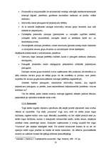 Referāts 'Uzņēmuma atrašanās vieta, tās ietekme uz uzņēmuma darbību', 28.