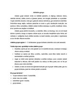 Konspekts 'Atbalsta grupas apraksts', 2.