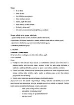 Konspekts 'Atbalsta grupas apraksts', 3.