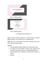 Biznesa plāns 'SMU biznesa plāns', 5.