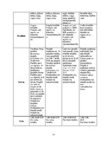 Biznesa plāns 'SMU biznesa plāns', 13.