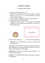 Biznesa plāns 'SMU biznesa plāns', 22.