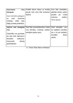 Biznesa plāns 'SMU biznesa plāns', 25.