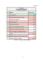 Biznesa plāns 'SMU biznesa plāns', 33.