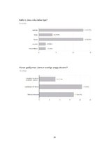 Biznesa plāns 'SMU biznesa plāns', 38.