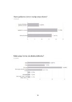 Biznesa plāns 'SMU biznesa plāns', 39.