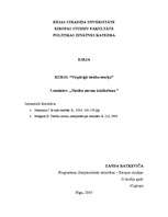 Konspekts 'Tiesību normu iztulkošana', 1.