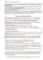 Konspekts 'Darba lapa starptautiskās attiecības', 2.