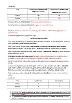 Konspekts 'Darba lapa starptautiskās attiecības', 4.