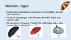 Prezentācija 'Lietussargi', 7.