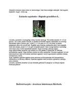 Referāts 'Augu aizsardzība', 6.