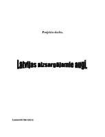 Referāts 'Augu aizsardzība', 11.