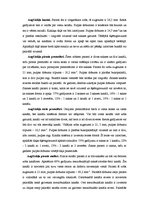 Konspekts 'Zobu sakņu kanālu sistēma', 2.