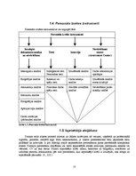 Referāts 'Personāla vērtēšanas un atlases politika uzņēmumā "X"', 10.