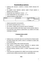 Biznesa plāns 'Biznesa plāns rotaļlietu veikalam "Karlsons"', 3.