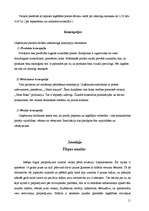 Biznesa plāns 'Biznesa plāns rotaļlietu veikalam "Karlsons"', 11.