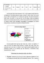 Biznesa plāns 'Biznesa plāns rotaļlietu veikalam "Karlsons"', 13.