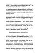 Biznesa plāns 'Biznesa plāns rotaļlietu veikalam "Karlsons"', 14.