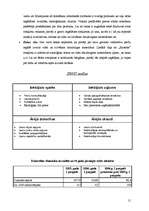 Biznesa plāns 'Biznesa plāns rotaļlietu veikalam "Karlsons"', 15.