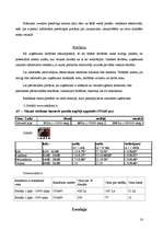 Biznesa plāns 'Biznesa plāns rotaļlietu veikalam "Karlsons"', 18.