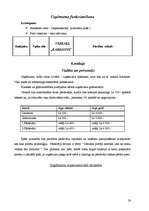 Biznesa plāns 'Biznesa plāns rotaļlietu veikalam "Karlsons"', 19.