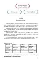 Biznesa plāns 'Biznesa plāns rotaļlietu veikalam "Karlsons"', 20.