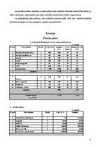 Biznesa plāns 'Biznesa plāns rotaļlietu veikalam "Karlsons"', 21.