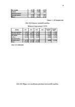 Konspekts 'Naudas plūsmas analīze', 14.