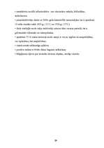 Referāts 'Miķeļtorņa sociālekonomiskais pārskats laika gaitā', 19.