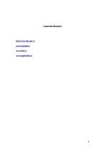 Konspekts 'Autortiesību ievērošana', 9.