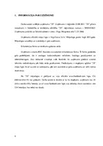 Referāts 'Uzņēmuma "3S" darbības stratēģija', 4.