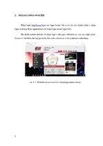 Referāts 'Uzņēmuma "3S" darbības stratēģija', 5.