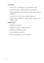 Referāts 'Uzņēmuma "3S" darbības stratēģija', 9.