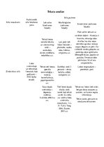 Konspekts 'Pētījums par tekstā lietotajiem literārās valodas funkcionālajiem stiliem', 4.