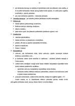 Prakses atskaite 'A/S "Hansabanka"', 13.