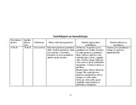 Prakses atskaite 'Aprūpes plāns terapijā', 13.